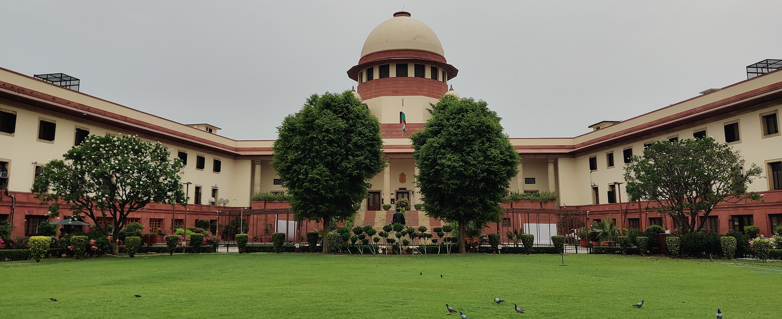 Enforcement Directorate Logo